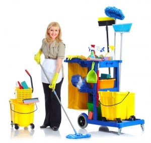 Cleaners Princes Park: Domestic cleaning