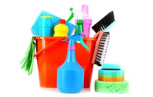 Cleaners Princes Park: Domestic cleaning