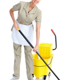 Cleaners Princes Park: Domestic cleaning